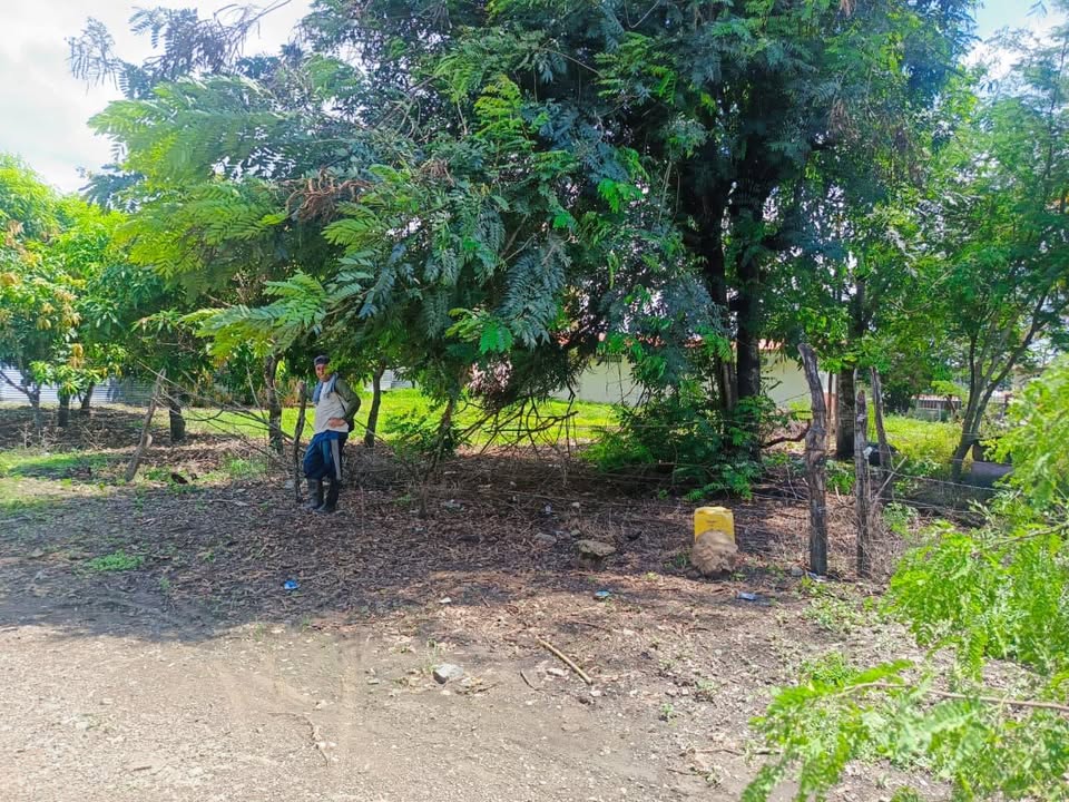 Juntas de Valle de la Virgen limpian espacios públicos tras lluvias